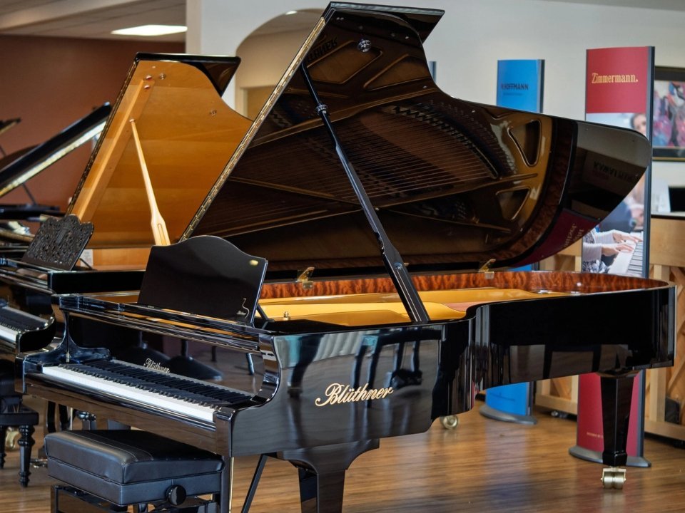 Blüthner Classic Edition